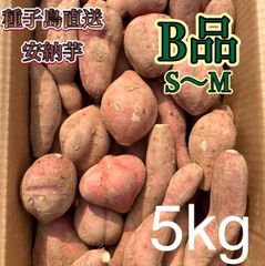 【絶品】種子島産安納芋 B品 小〜中サイズ(100g〜200g) 5kg(箱別)