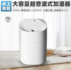 加湿器 卓上 超音波式 加湿器 車載加湿器 USB充電式 220ml 除菌 静音 空気加湿器 ミニ加湿器 乾燥防止 空焚き防止 寝室 車載 デスクに最適