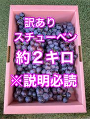 🍇【訳あり】スチューベン約２キロ🍇
