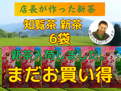 新茶入荷しました!!!全国 送料無料 健康 一番茶 日本茶 煎茶  緑茶 新茶 母の日 特上煎茶 知覧茶　100g✕6袋  八十八夜
