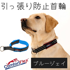 コンフォートフレックス 首輪 [ブルージェイ] Comfortflex ハーフチョーク  犬用 リミテッドスリップカラー