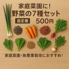 家庭菜園に！ 野菜の種セット 固定種 500円【2025年 春〜秋】
