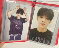 2018 SEVENTEEN(セブンティーン・セブチ) IDEAL CUT コンサート エスクプス(S.COUPS・スンチョル) トレカ