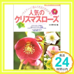 かのん⭐︎ポット発送メルカリ便❤️スペシャル価格❤️840クリスマスローズ 2025年最新】クリスマスローズの人気アイテム - メルカリ