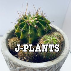 shop-thumbnail