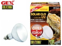 Item thumbnail for item b183b43b-f0a0-482f-a652-bb29207ce353