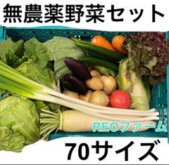 愛知県産　野菜　詰め合わせ　セット　70サイズ　産地直送　REOファーム　栽培期間中農薬不使用