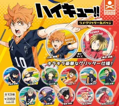 ハイキュー!! ラメグリッター缶バッジ 全13種 ガチャ