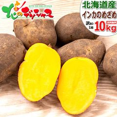 【予約/10月上旬(10月3日)頃から出荷予定】 北海道産 越冬 訳あり じゃがいも インカのめざめ 10kg (ご家庭用) わけあり 秋野菜 インカの目覚め ジャガイモ 馬鈴薯 野菜 ご自宅用 ご家庭用 お家用 お得 北海道 北海道直送 グルメ お取り寄せ