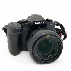 Panasonic DMC-G8 LUMIX G VARIO F3.5-5.6 12-60 ASPH. POWER O.I.S. ズームレンズキット 中古  Z9897154