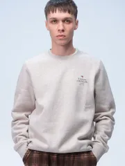 TOMMY HILFIGER トミーヒルフィガー 裏起毛 胸ロゴ トレーナー MW0MW35524 メンズ 男性 トップス プルオーバー 長袖 秋冬 ベージュ