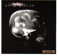 DAVID SYLVIAN 12インチシングル　6枚セット davidsylvian | STORES