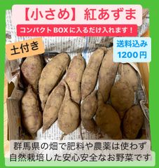 【ミニサイズ】なっちゃんの紅あずま