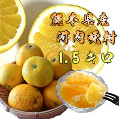 熊本県産 河内晩柑 1.6キロ ～1.8キロ ジューシー フルーツ 生柑 宇和ゴールド 灘オレンジ 天草晩柑 サウスオレンジ 夏文旦 【 熊本県産 河内晩柑 1.5キロ  】