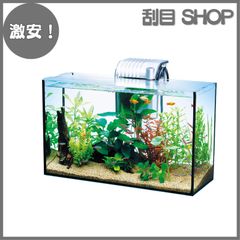 水槽 オールグラスアクアリウム 熱帯魚 メダカ 金魚 Amazon | Tetra テトラ オールグラスアクアリウム420 熱帯魚