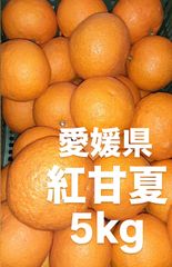 愛媛県産　紅甘夏　柑橘　　5kg