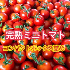宮崎県産 完熟ミニトマト 850g  コンパクト詰め