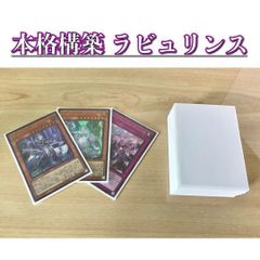 本格構築 【ラビュリンス】 デッキ＆エクストラ＆二重スリーブ