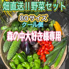 【森の中大好き様専用】畑直送！野菜セット80サイズクール便