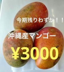 今期残りわずか！クール便　沖縄産マンゴー　3玉