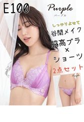 【新品 未使用】E100 大きいサイズ ブラジャー＆ショーツ ブラジャー E100 ショーツ 5L パープル 脇高ブラ レディース 新品 送料無料