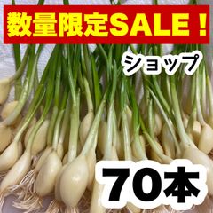 70 にんにくスプラウト 即購入OK