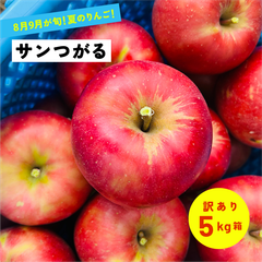 8月21日から9月15日発送 指定日不可「サンつがる5キロ訳あり品」 農林水産大臣賞 長野県産 安曇野 信州産 産地直送