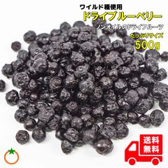 ドライブルーベリー たっぷりサイズ 500g ノンオイル 野生種ワイルドブルーベリー クロネコゆうパケット便発送