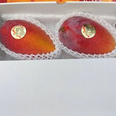 ★幻のマンゴー★ 玉文マンゴー 2玉1.3kg前後