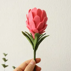 プロテアビーナスのブーケ💐　フェルトフラワー