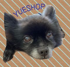 shop-thumbnail