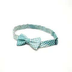 超美品 エルメス 蝶ネクタイ ヌー・パピヨン NOEUD PAPILLON 箱付 美品 エルメス 蝶ネクタイ ヌー・パピヨン NOEUD PAPILLON 箱付