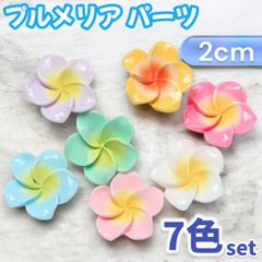 プルメリア  ネイル パーツ 夏 花 ハイビスカス フラワー レジン 素材