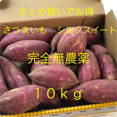 さつまいも　シルクスイート１０ｋｇ