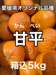 愛媛宇和島みかん 甘平家庭用箱込約3kg - メルカリ