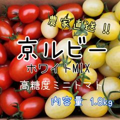 【京ルビー＆ホワイトMIX】高糖度フルーツミニトマト 内容量1.8kg