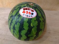 三浦産　甘味すいか　1個（５㎏以上）クール便発送