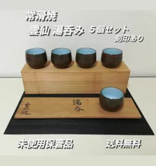 【日本特売】常滑焼　雲仙造　練上　茶注　煎茶　急須　2点揃い　共箱 常滑