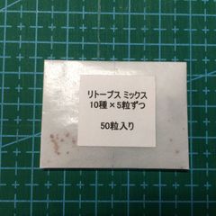 亀甲竜種まきキットのリコール 亀甲竜種まきキットのリコール 亀甲竜の種まきにチャレンジ❗｜そだ