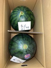 北海道沖縄離島追加送料無し　熊本県産赤肉すいか《黒皮すいか5.6kg》黄色すいか《ムーンフラッシュ6.2kg》現品販売