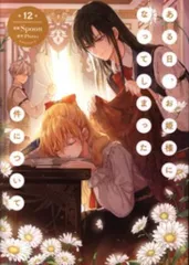 KADOKAWA フロースコミック Spoon ある日、お姫様になってしまった件について 12