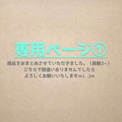 専用ページ①のサムネイル