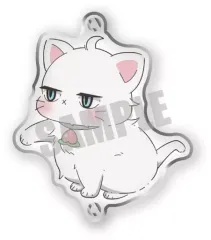 【中古】キーホルダー 白桃(公式デフォルメ) ちぇいんコレクション 「新しい上司はど天然」のサムネイル