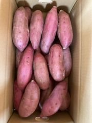 きなこもち(引越し中のため要相談願います　さん専用 きなこもち(引越し中のため要相談願います さん専用 Amazon.co
