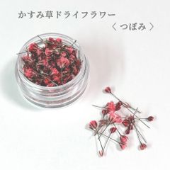 かすみ草様ご確認用 minty - メルカリShops