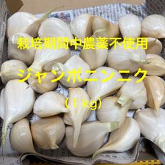 栽培期間中農薬不使用　ジャンボニンニク
