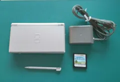 【すぐに遊べるセット】ニンテンドーDS Lite Silver 充電器付 B36 4127