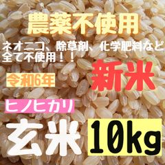 さくらの玄米  【選別済みの大粒だけ】農薬不使用   ヒノヒカリ 玄米  10kg