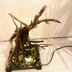 饗宴　LED照明　流木アート　インテリア　業務用にも