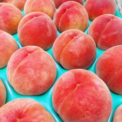 ふくしまの桃　朝採り　特秀品　5キロ箱　数量限定
